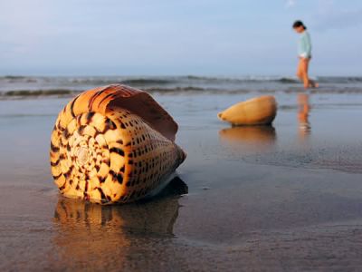 Distratti per l'oltre