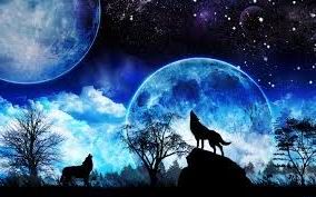 La favola delle dodici notti