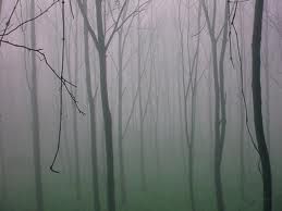 Meno male che ci sei  