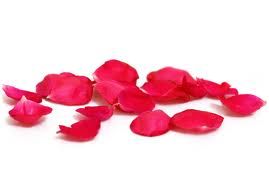 Solo carezze al vento