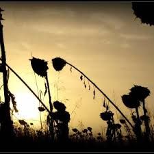 L'ultimo sole d'ottobre