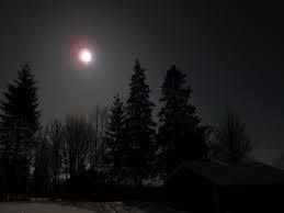 Il sognante viaggiatore