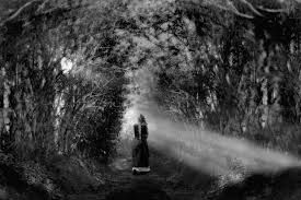 Nel respiro del bosco