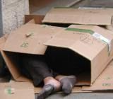 Quando tacciono le stelle