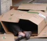 Quando tacciono le stelle