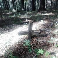 La ballata del soldato