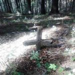 La ballata del soldato