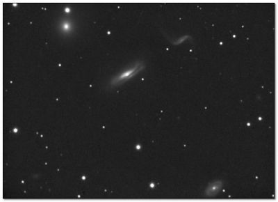 Canto della voce delle stelle