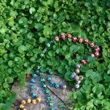 Addio, senza rancore