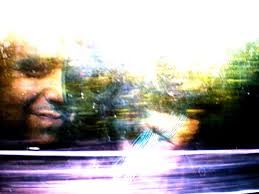 Dove vanno gli alberi quando viaggio in treno