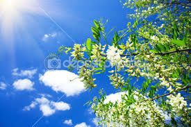 Fantasie di nuvole ridono