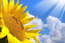 Buongiorno sentinella del sole