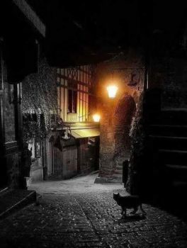 L�ultimo vecchietto della via