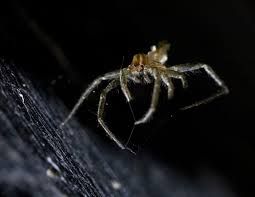 Il potere richiede discrezione