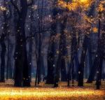 Il lieto in un tutt'uno