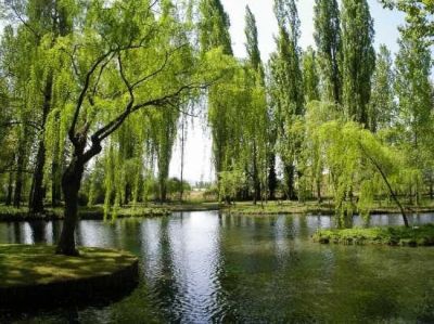 Le fonti del Clitunno