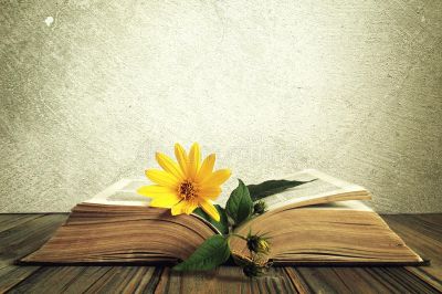 Emozioni di una donna