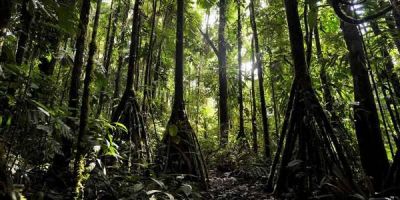 C'era legna sulle nostre schiene