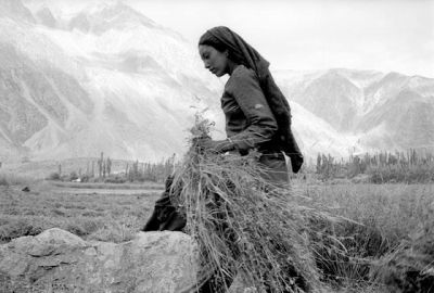 Con un solo e lento chiaro