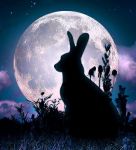 La luna della lepre