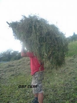 Lascia che la fatica