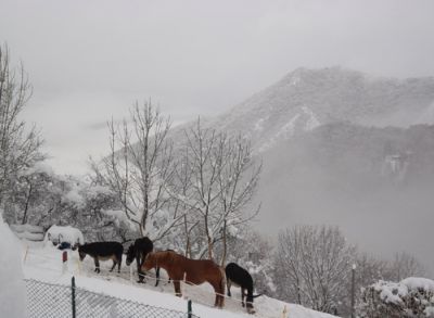 Inverno all�alpeggio