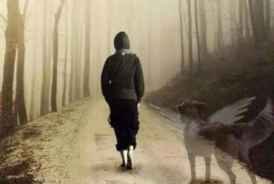 Il collare e il cappio