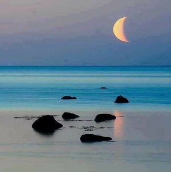 Il viaggio della vita