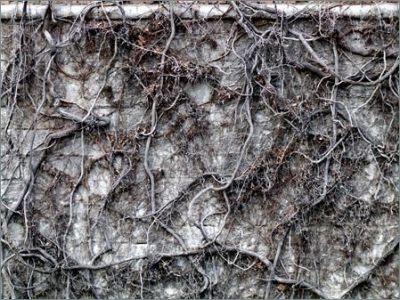 La faccia che ho oggi