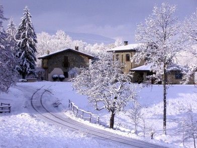 Neve
