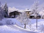 Neve