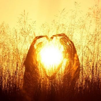 Va ragionando il cuore