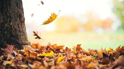 Un secondo raccontato