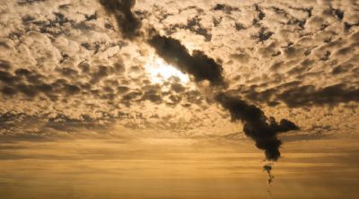 La vita che credo, oso