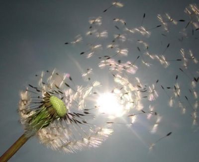 Spegnimi una volta, due volte accendimi