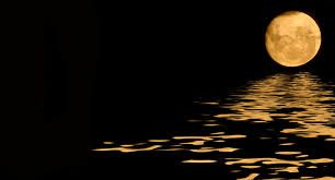 Solitudine di un lago