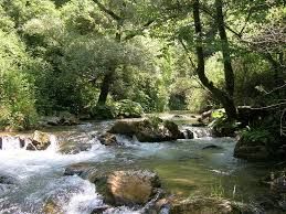 Un�improvvisa fede