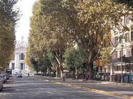 La Madonnina nella nicchia