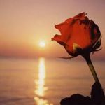 L�impronta Di Un Tempo Perduto