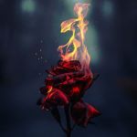 Il Fiore del mio Scoperto Sacrificio