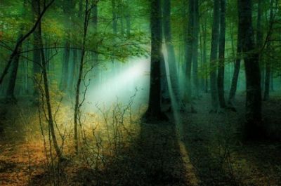 Sussurrami il tuo bene