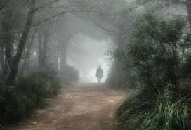 Piccole certezze (la fortuna d�avere amato)