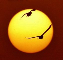 Niente mi può fermare