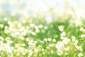 Al di l� del bene e del male