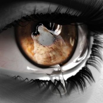 I poeti muoiono con una rima negli occhi