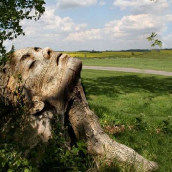 Io, parte della mia terra