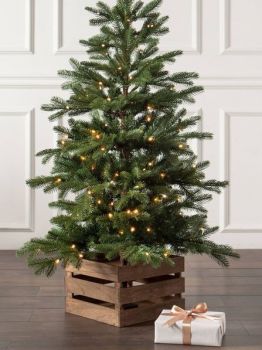 Che natale � questo?