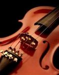 Il violino