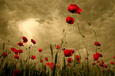 Sapr� ancora un giorno