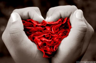 " Un letto per quattro "  